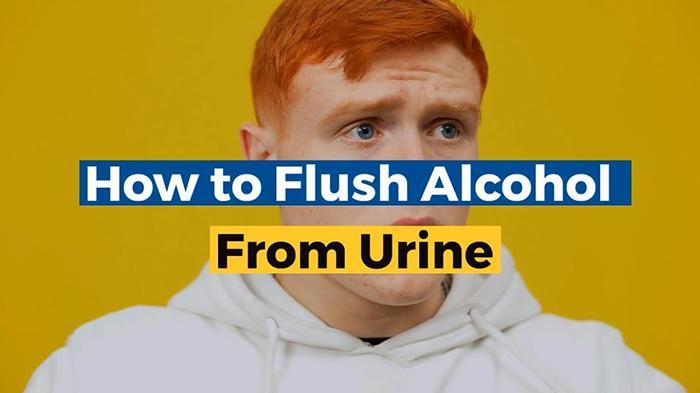 How To Flush Alcohol From Urine-1