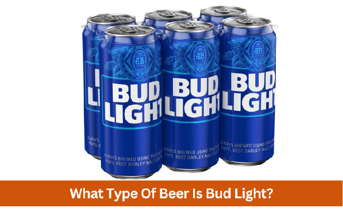 What Type Of Beer Is Bud Light-2