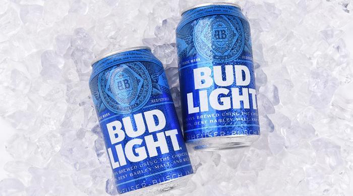 What Type Of Beer Is Bud Light-4