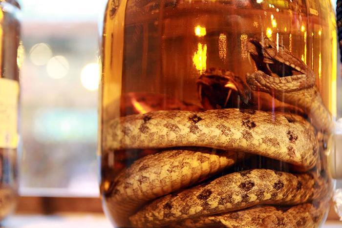 Habu Sake-1