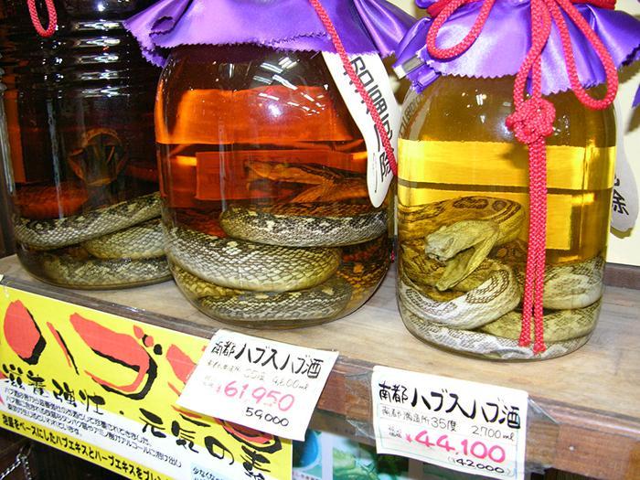 Habu Sake-3