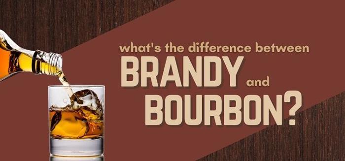 Bourbon Vs Brandy (1)