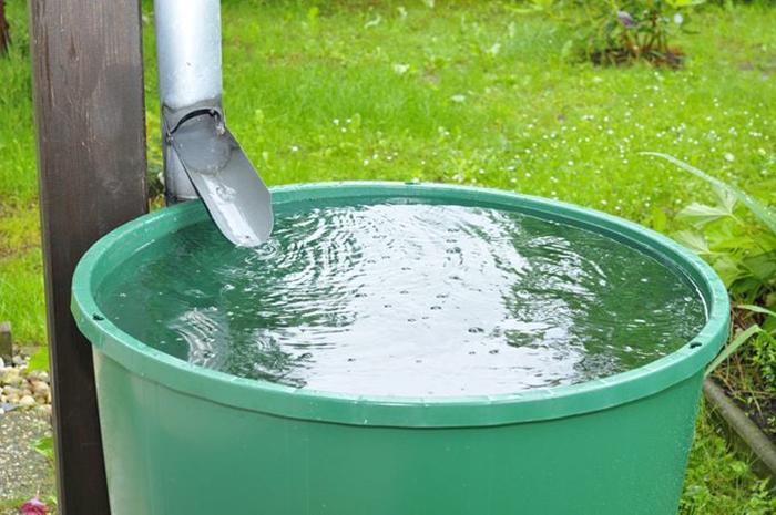 Can You Drink Rain Water After Boiling It (2)