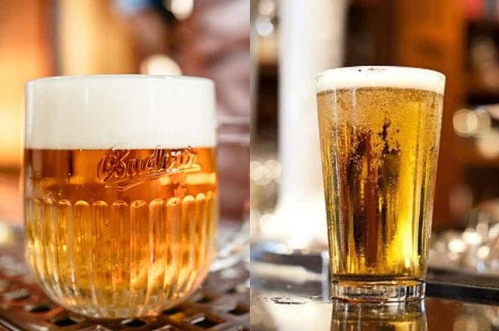 Difference Between Pilsner And Lager (3)