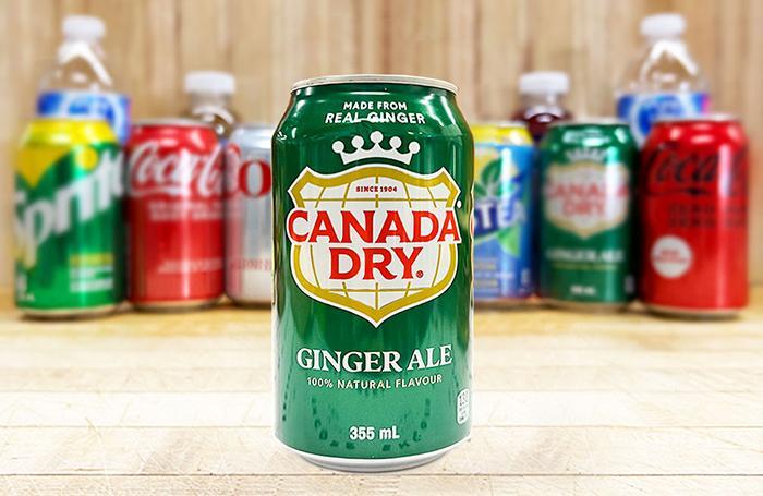 Does Ginger Ale Help With Nausea (1)