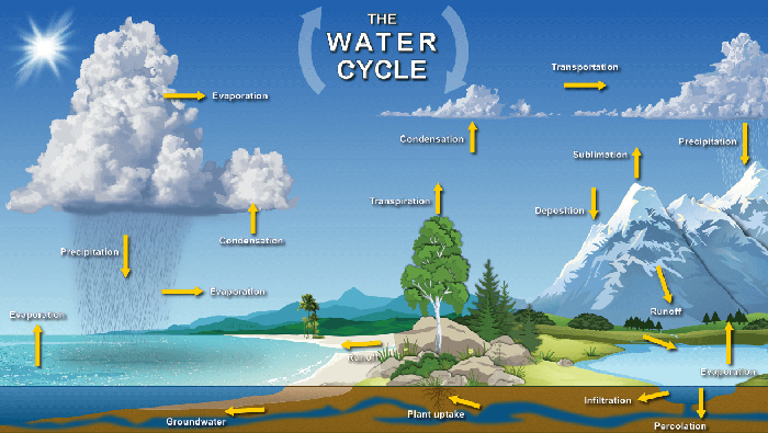 Does Humid Air Rise Or Sink - Chesbrewco