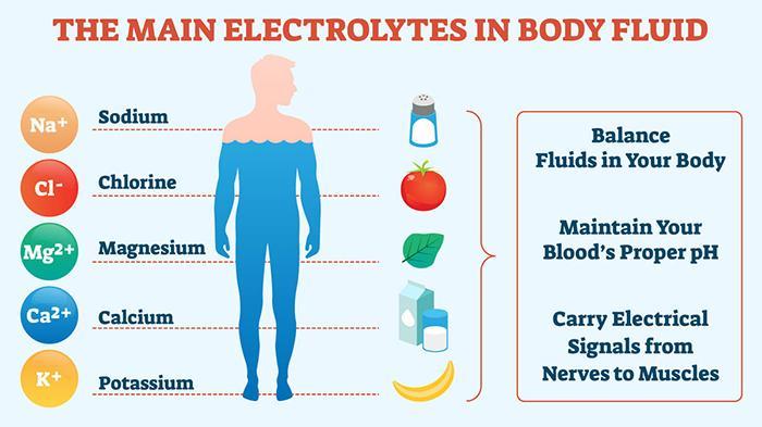 Does Sprite Have Electrolytes Chesbrewco