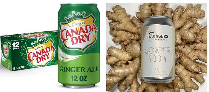 Ginger Soda Vs Ginger Ale (1)
