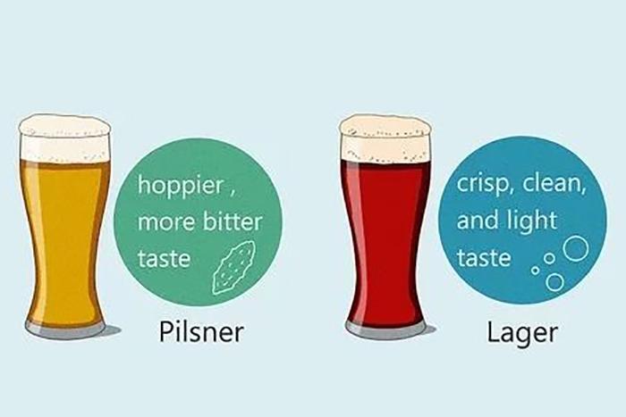 Lager Vs Pilsner (1)