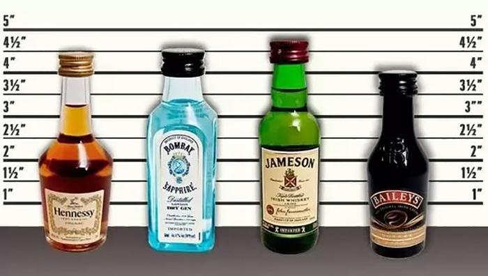 Liquor Bottle Sizes (2)