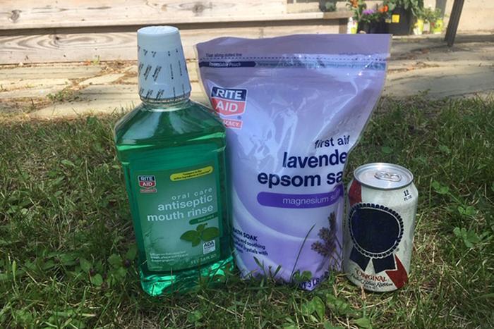 Mosquito Repellent With Mouthwash Epsom Salt And Beer (1)