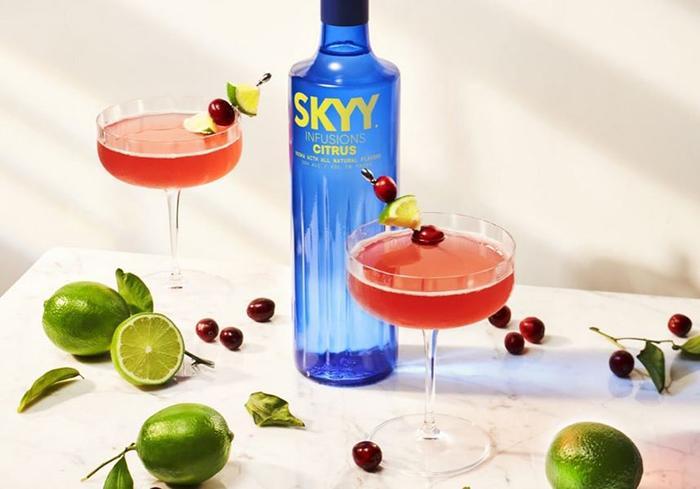Skyy Vodka Review Updated 11/2023