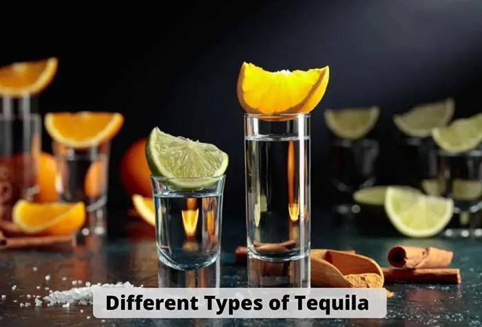 Types Of Tequila (3)
