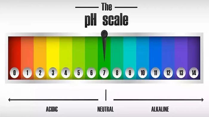 Understanding the pH Scale (3)