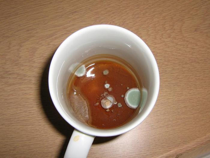 What Happens If You Drink Moldy Tea (3)