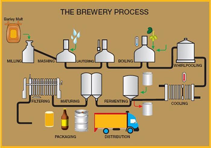 What Is Beer Made Of (1)