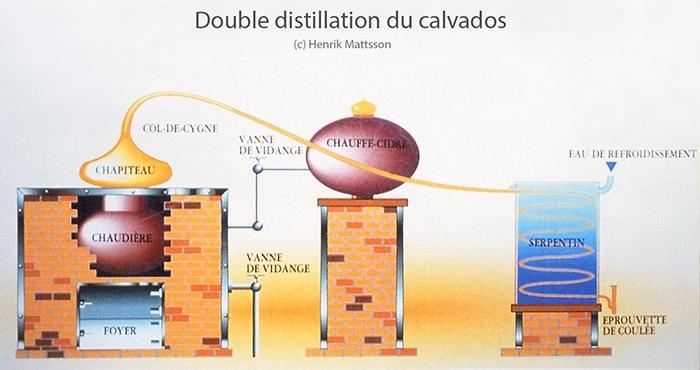 What Is Calvados (2)