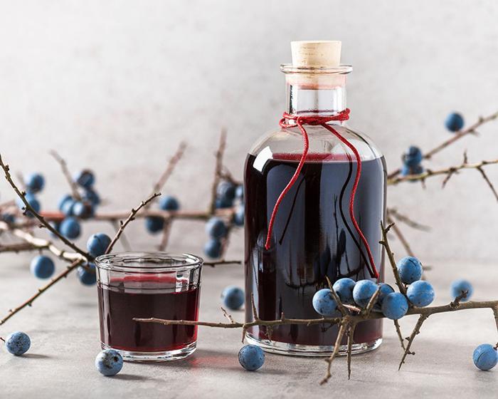 What Is Sloe Gin (2)