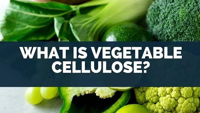 What Is Vegetable Cellulose Updated 02/2024