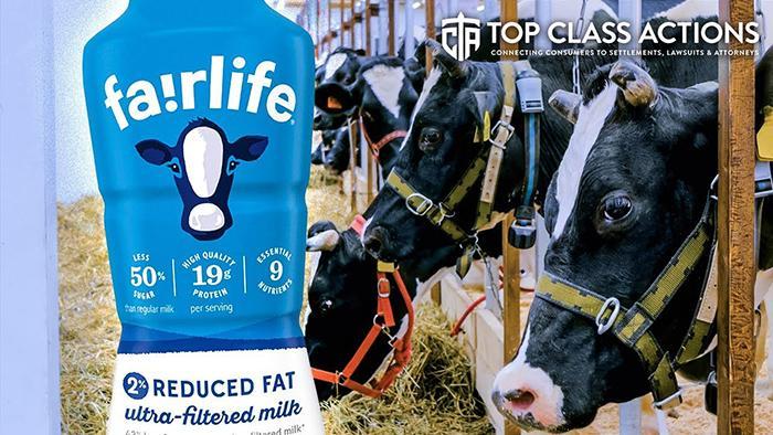 Why Does Fairlife Milk Smell Funny (2)
