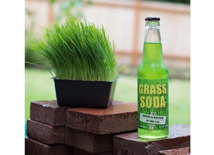 What Is Grass Soda (1)