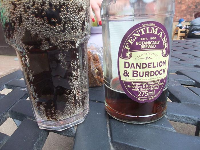Is Dandelion And Burdock Root Beer (1)
