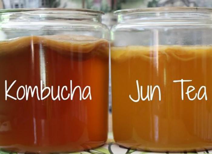 What Is The Difference Between Jun And Kombucha (1)